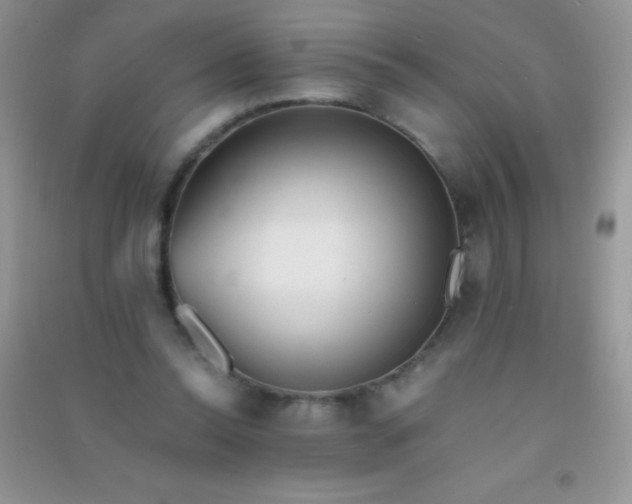 X0000091300350200708172213