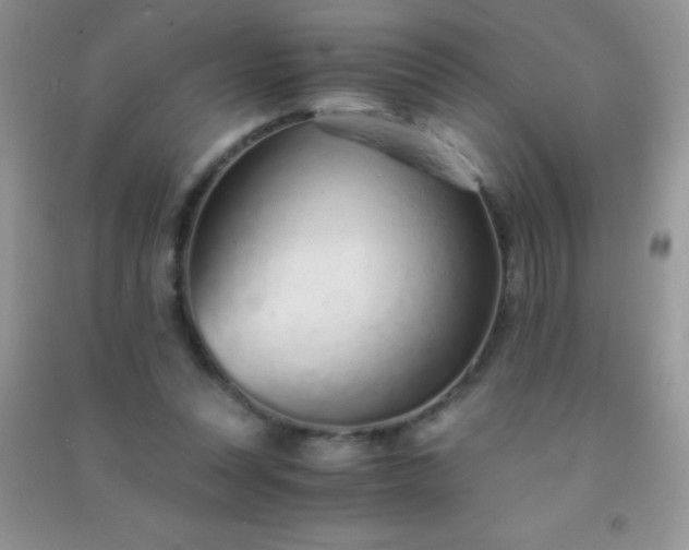 X0000091300351200708172213