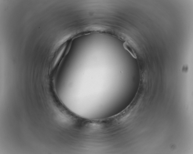 X0000091300352200708172213