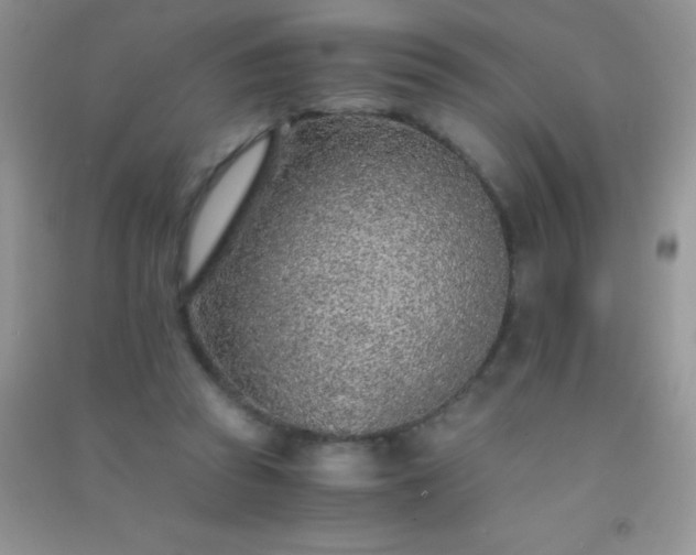 X0000091300353200708172213