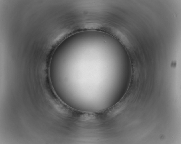 X0000091300354200708172213