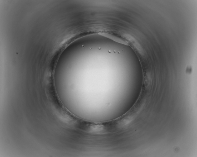 X0000091300355200708172213