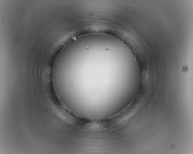 X0000091300356200708172213