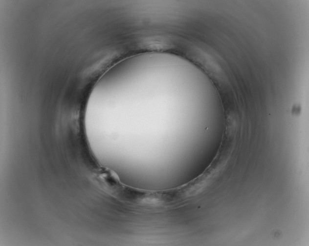 X0000091300358200708172213