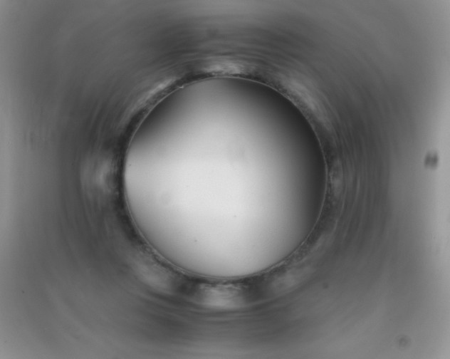 X0000091300359200708172213