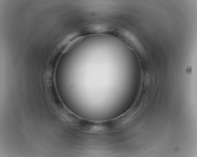 X0000091300360200708172213