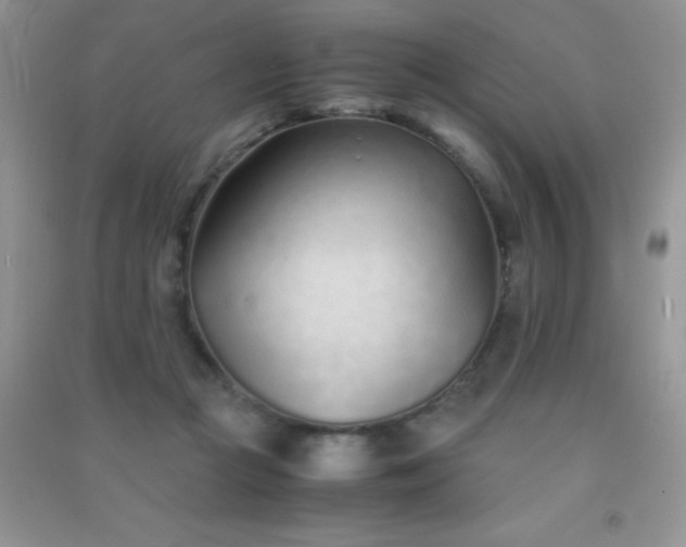 X0000091300361200708172213