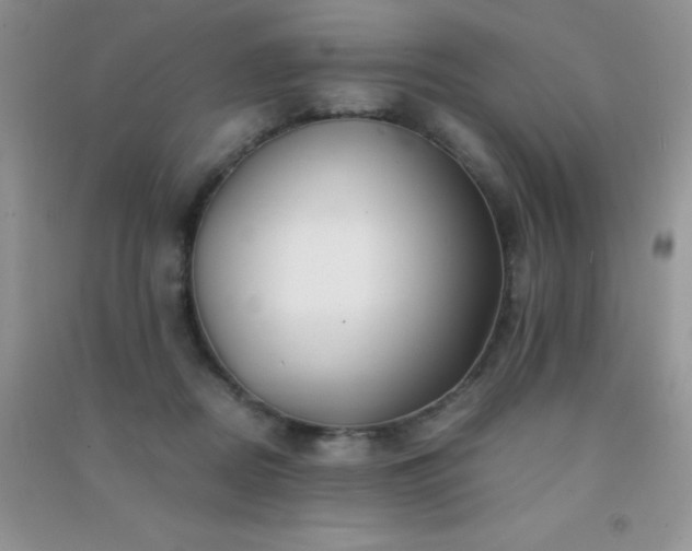 X0000091300362200708172213