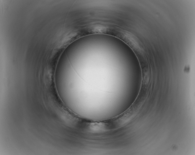 X0000091300363200708172213