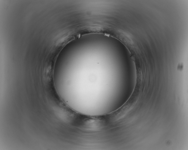 X0000091300364200708172213