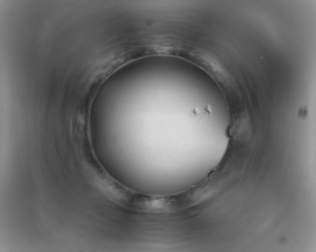 X0000091300365200708172213