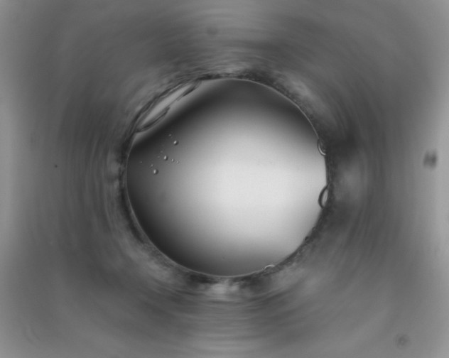 X0000091300366200708172213