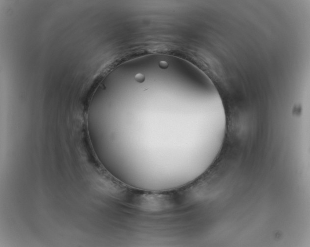 X0000091300367200708172213