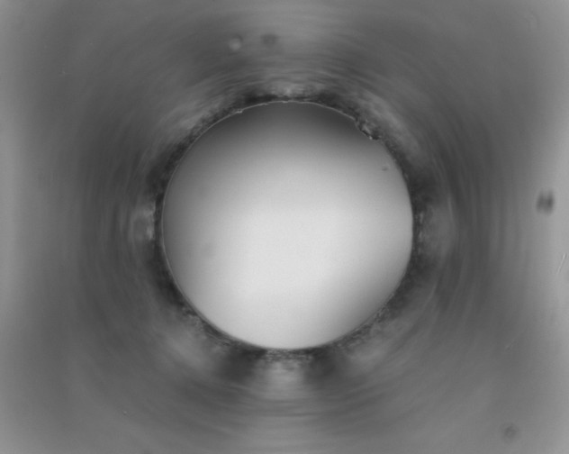 X0000091300368200708172213