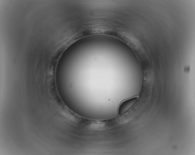 X0000091300369200708172213