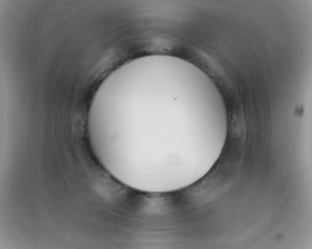 X0000091300370200708172213