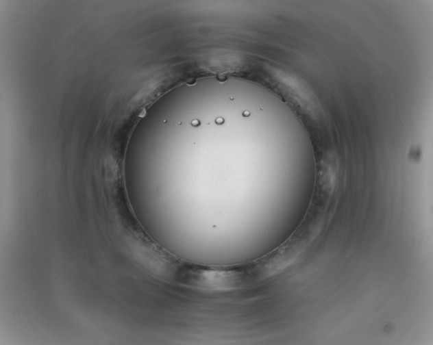 X0000091300371200708172213