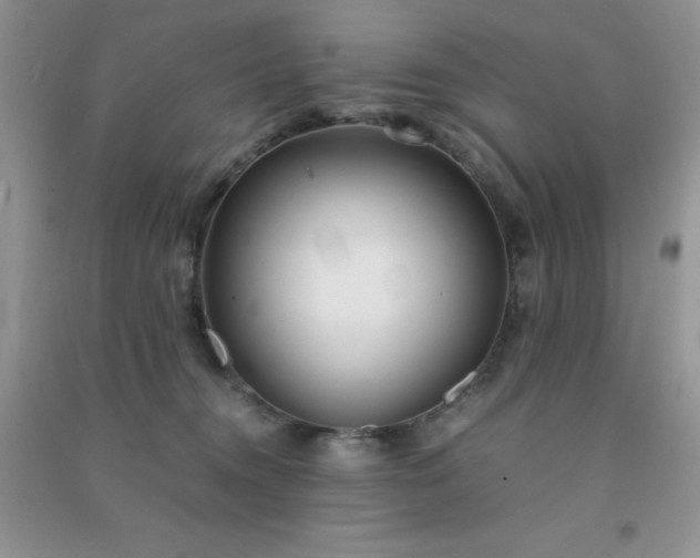 X0000091300372200708172213