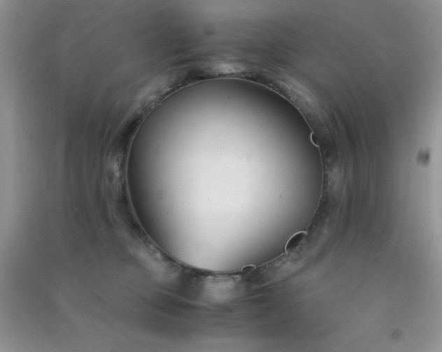 X0000091300373200708172213