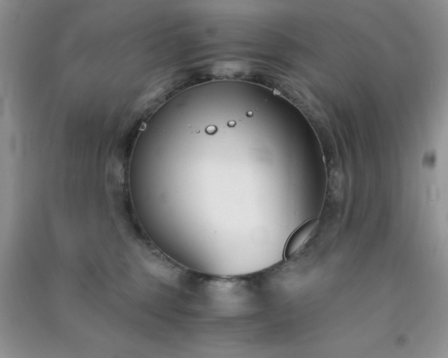 X0000091300375200708172213