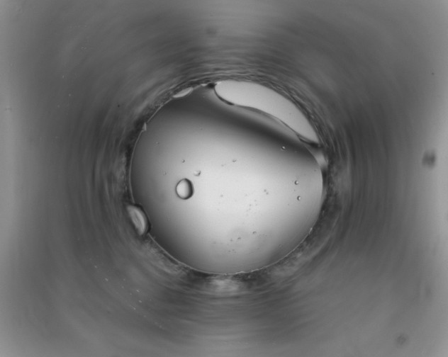 X0000091300376200708172213