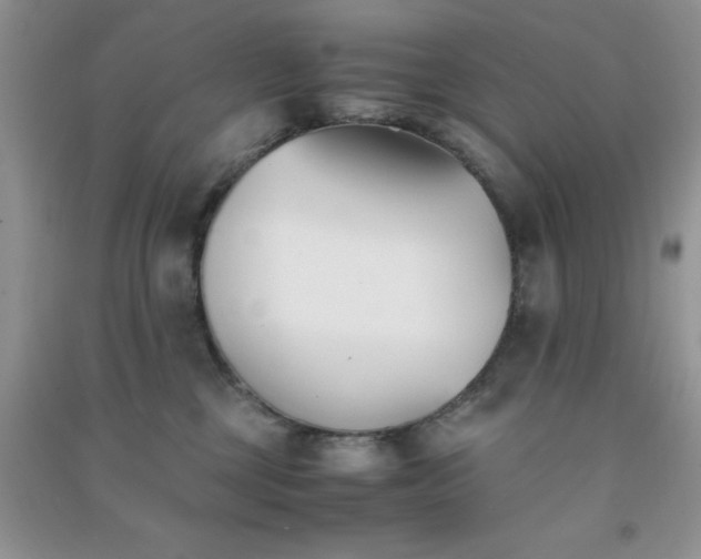 X0000091300377200708172213