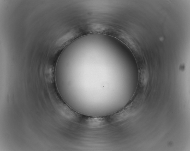 X0000091300378200708172213