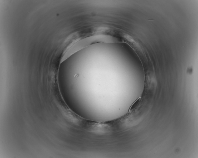 X0000091300379200708172213