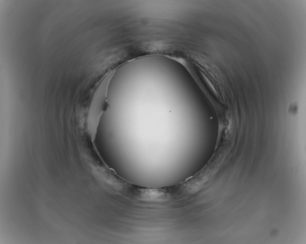 X0000091300380200708172213