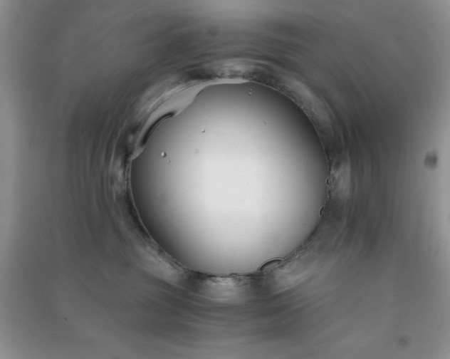 X0000091300381200708172213