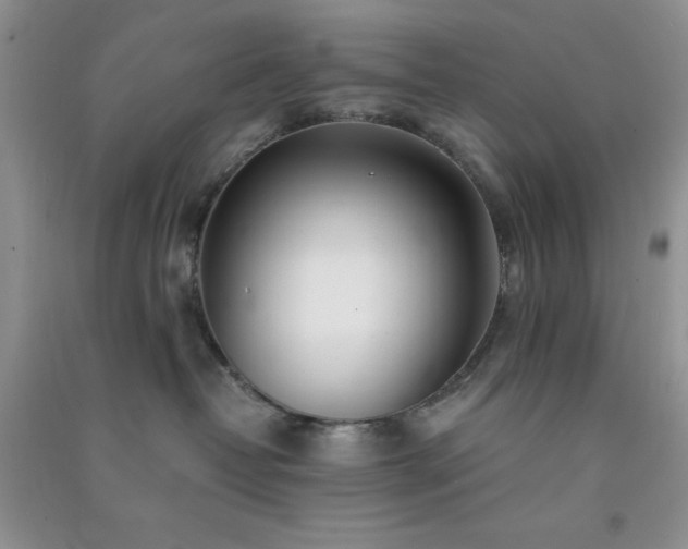 X0000091300382200708172213