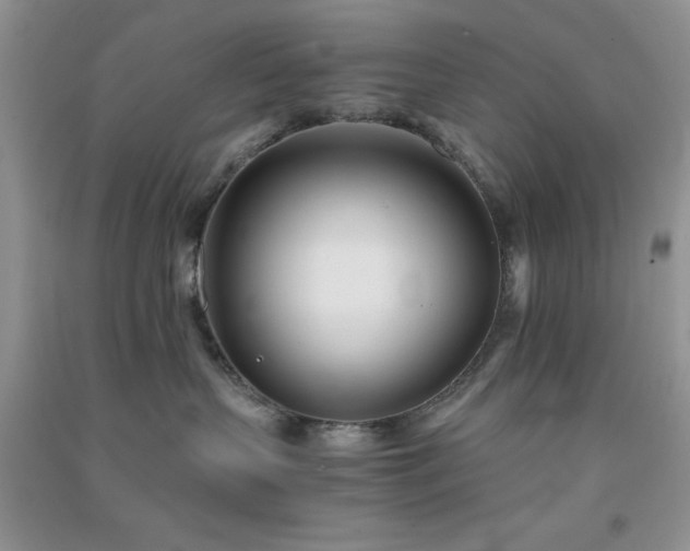 X0000091300383200708172213