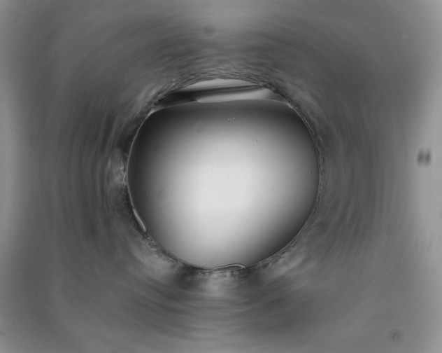 X0000091300384200708172213