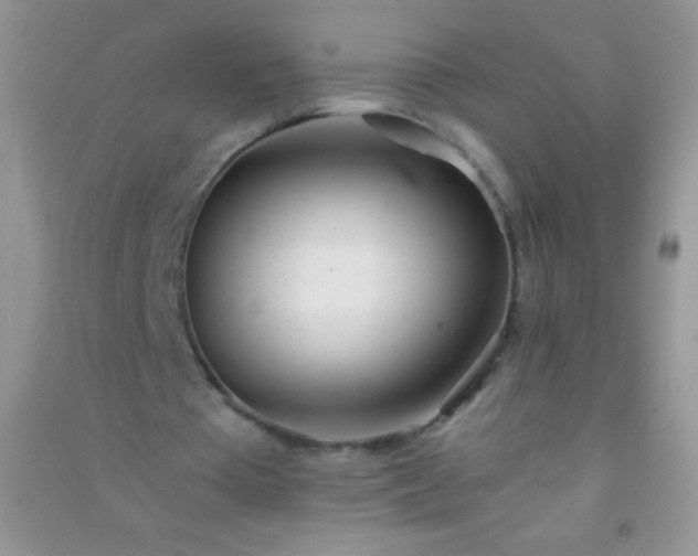 X0000091300385200708172213