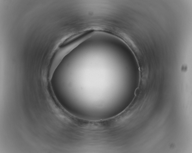 X0000091300386200708172213