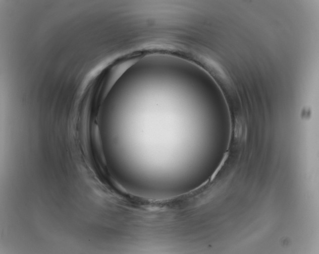 X0000091300388200708172213