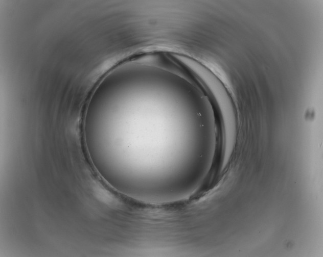 X0000091300389200708172213