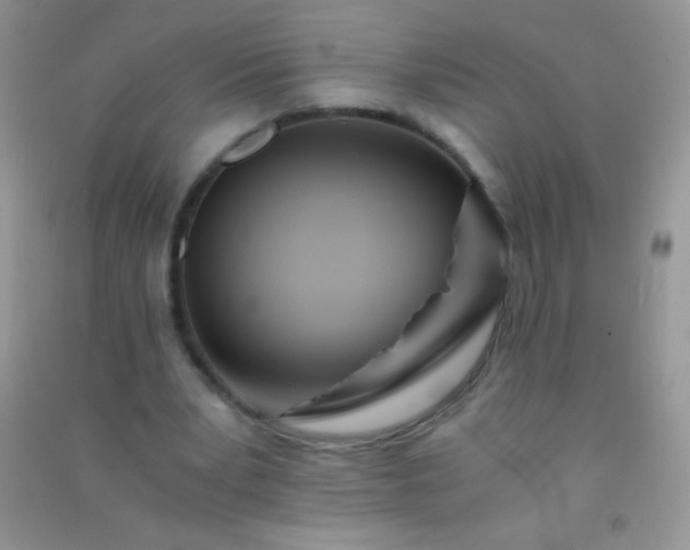 X0000091300391200708172212