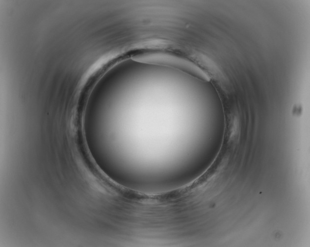 X0000091300392200708172212