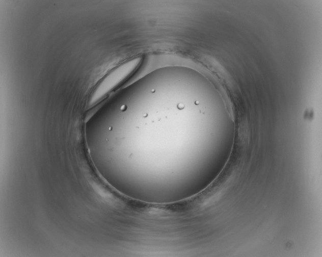 X0000091300393200708172212