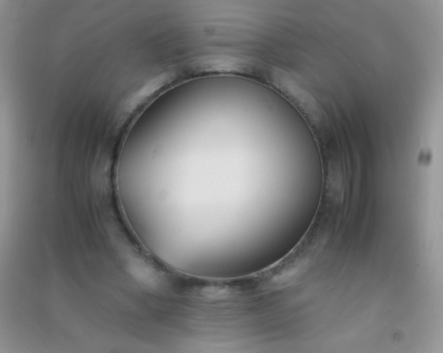 X0000091300394200708172212