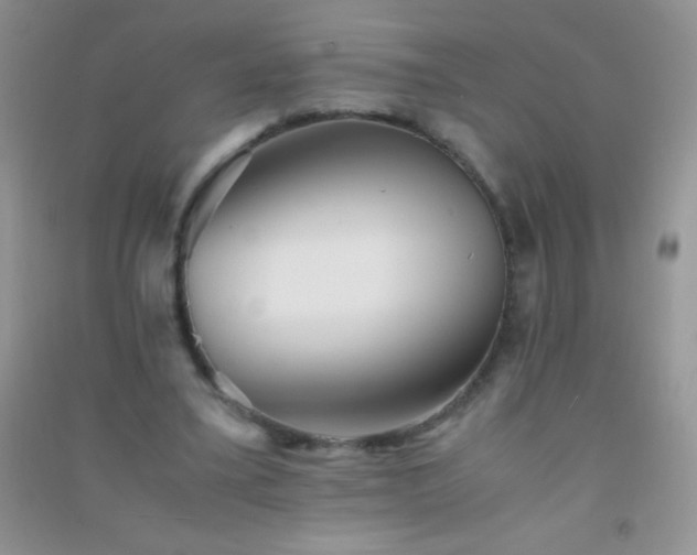 X0000091300395200708172212