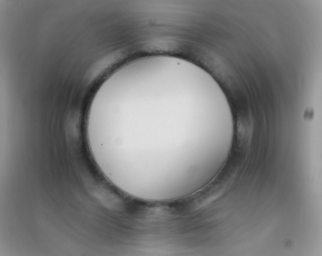 X0000091300396200708172212