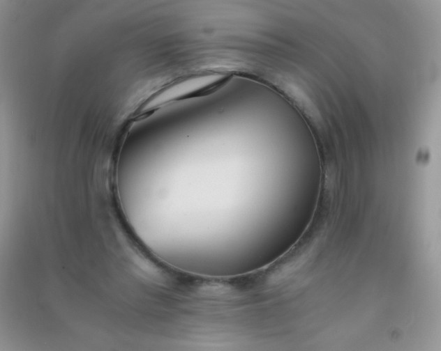 X0000091300397200708172212