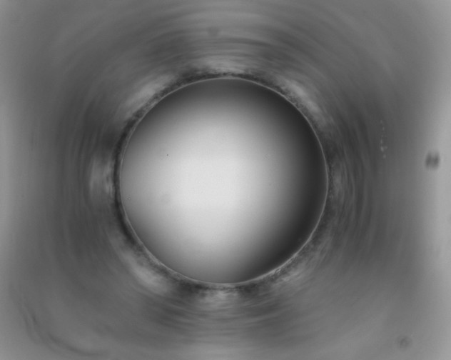 X0000091300398200708172212