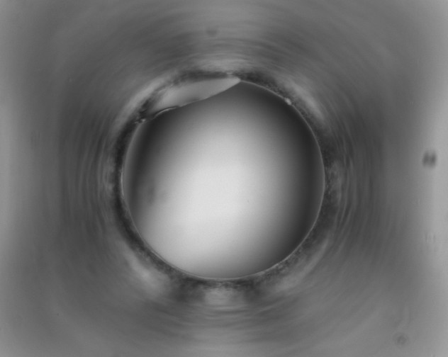 X0000091300400200708172212