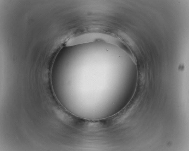 X0000091300401200708172212