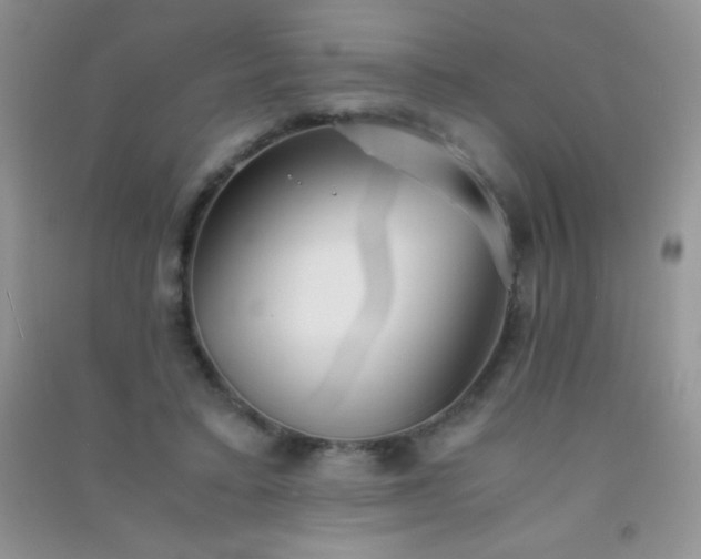 X0000091300403200708172212