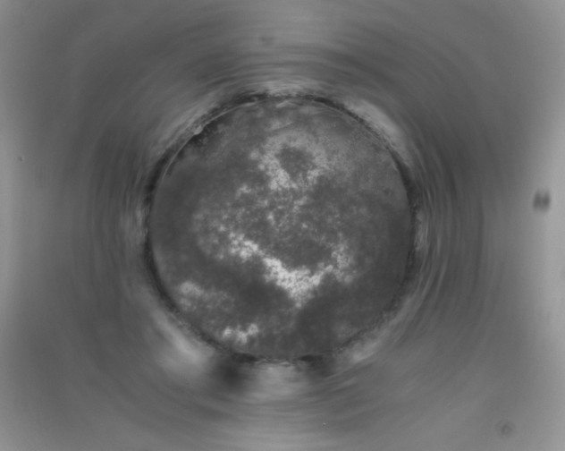 X0000091300405200708172212