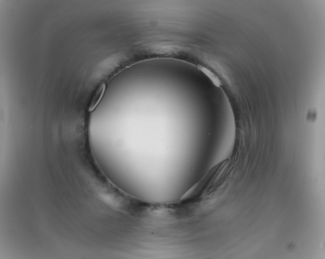 X0000091300407200708172212